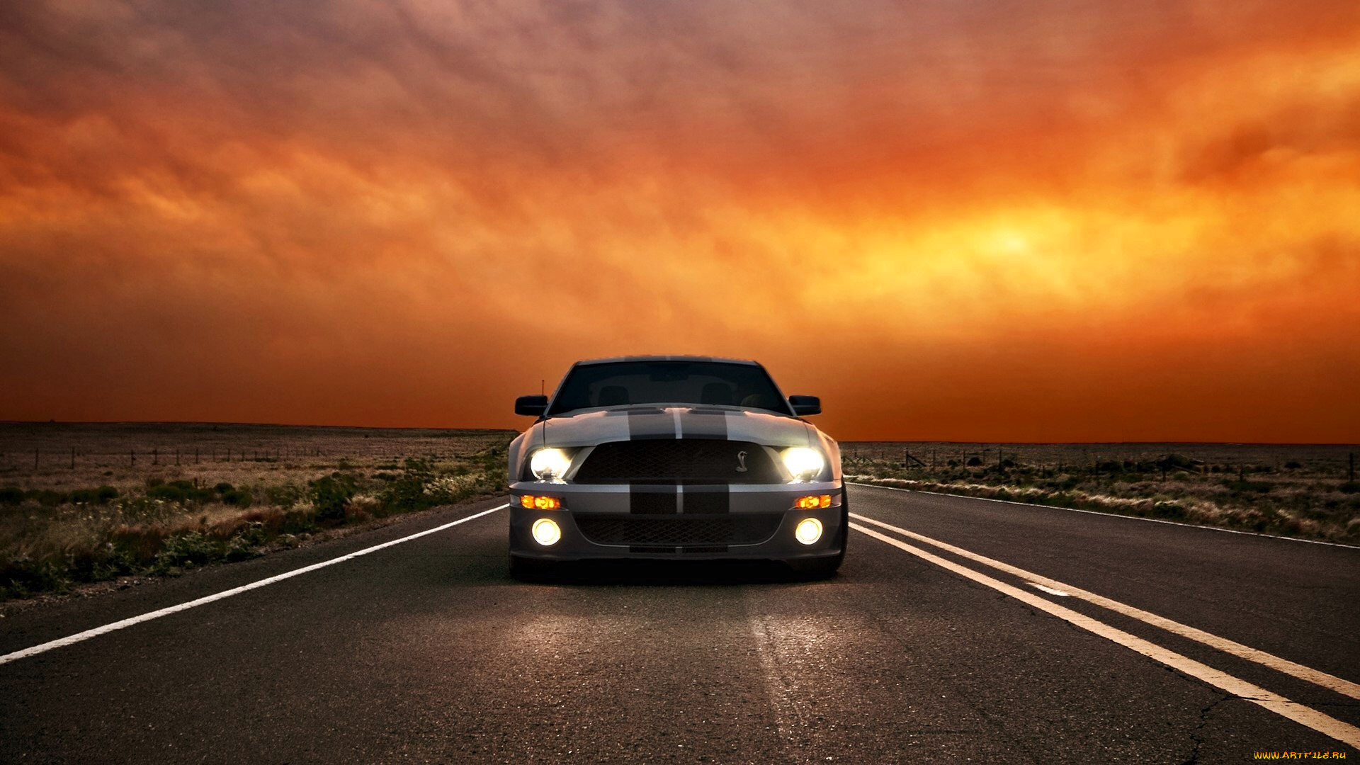 ford mustang, , mustang, , , , 
